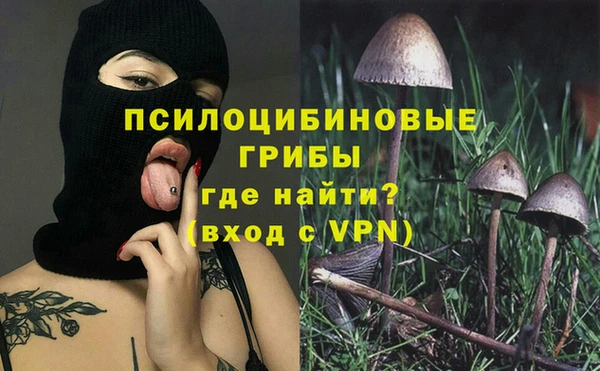 прущие грибы Армянск